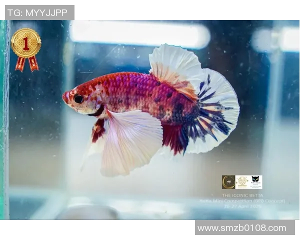 斗鱼黄金联赛比赛结果-斗鱼黄金联赛比赛结果惊艳全场，荣耀之战终见王者风采-斗鱼黄金联赛比赛结果